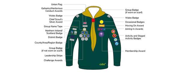 cub_badge_placement